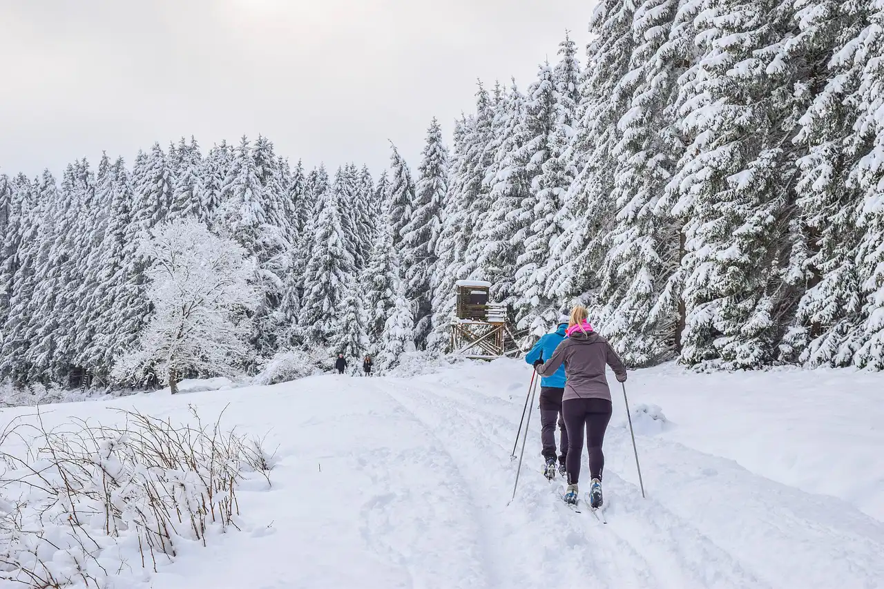 kopaonik