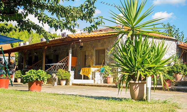 Flower bungalovi
